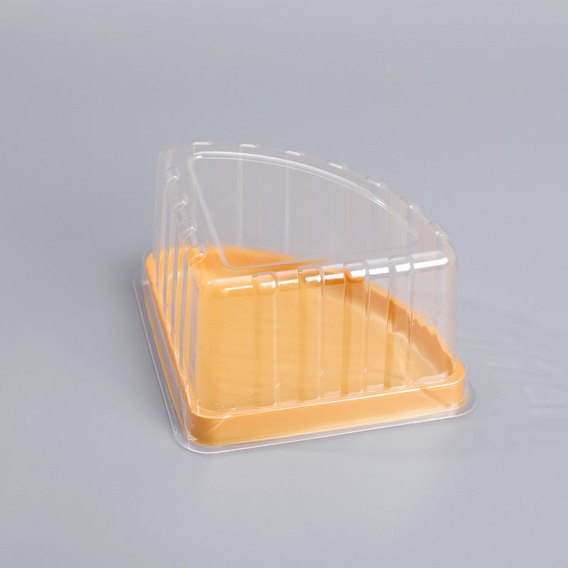 Cake Slice Container