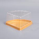 Cake Slice Container