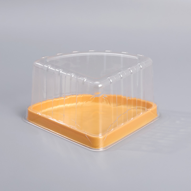 Cake Slice Container