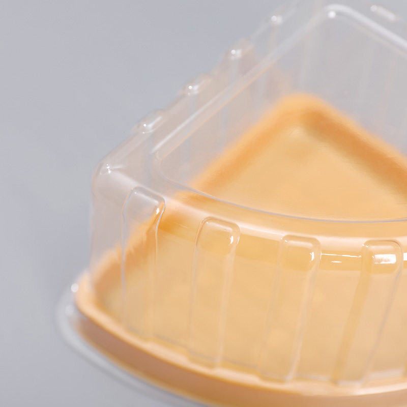 Cake Slice Container