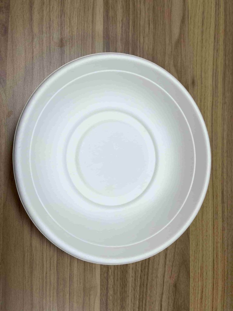 Bagasse Pulp Bowl